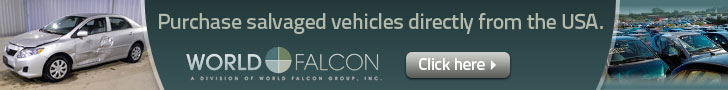 World Falcon Limited