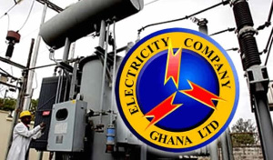 The unions argue that ECG, as a national asset, should not be privatized, citing past failures