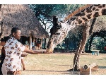 Safari Destinations