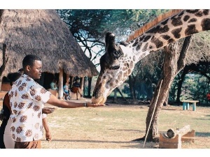 Safari Destinations