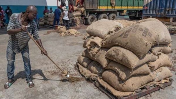 Ghana cocoa arrivals up 70% due to better crop, smuggling crackdown