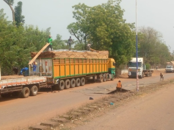 COCOBOD intercepts three trrucks smuggling cocoa and lumber in Bono Region
