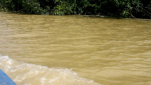 A year of unchecked galamsey has transformed the once-vibrant waterway into a stagnant, murky pool