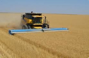 Maxwell Commey, CEO of Oro Oil Ghana Limited, emphasized the need for large-scale farming