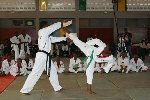 Taekwondo