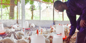 The programme will focus on boosting local production by investing in hatcheries, feed mills