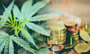 The industry could generate about $1 billion annually