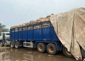 The dispute arose over a truck carrying smuggled cocoa bags intercepted by the police