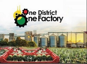 Lack of access to raw materials, capital negatively impacted 1D1F – Ofosu-Adjare