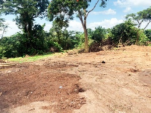 The matter is under investigation by the Adonte Traditional Council