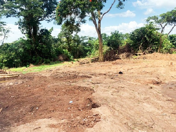 The matter is under investigation by the Adonte Traditional Council