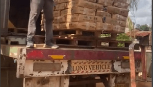 The impounded Truck