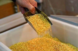 Gold Dust
