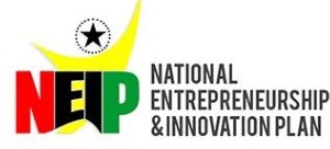 National Entrepreneurship and Innovation Programme (NEIP)