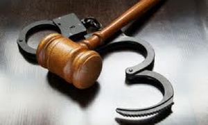 Authorities hope the committee’s findings will help address underlying issues