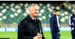 Northern Ireland gained Nations League promotion in November