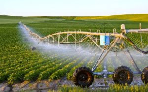 Let’s get Ghana’s agriculture sector improved to create jobs – Dr Domfeh