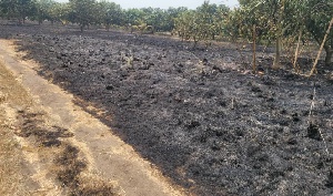 Firefighters swiftly responded and managed to contain the blaze, preventing further destruction