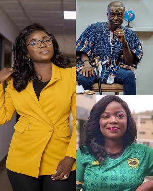 Captain Smart and Vim Lady