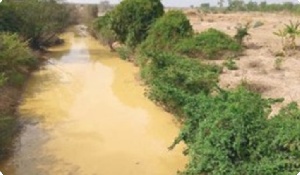 Illegal miners blame unemployment for their activities