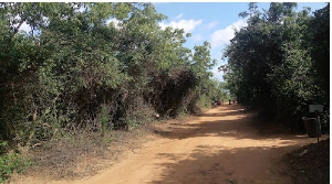 The Ministry asserts its commitment to transparent and honest land administration