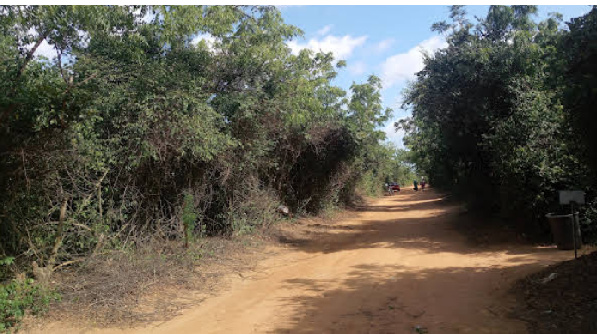 The Ministry asserts its commitment to transparent and honest land administration