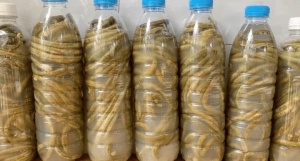 Banana Peels
