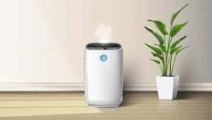 Air Purifiers