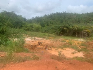 Galamsey lands to be reclaimed