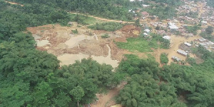 They call for immediate action to combat the destructive practices