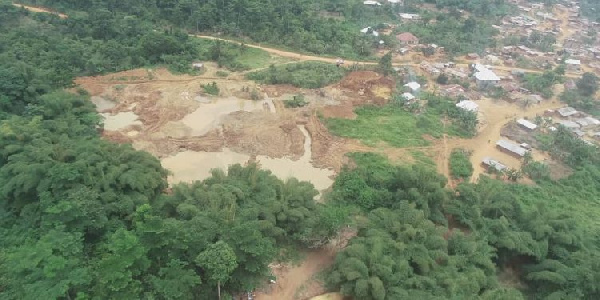 They call for immediate action to combat the destructive practices