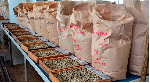 Variety of coffee beans from various farms all over the country displayed for auction.