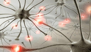 The total number of fatalities from meningitis have risen to10 since January 2024