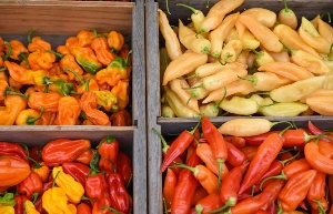 Vegetables