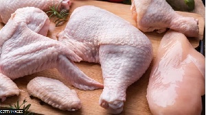 Chicken parts ( stock image )