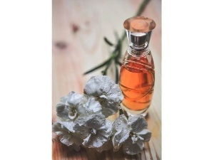 Oil Purfume