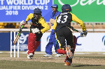 Cricket. File photo