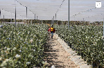 The sector's growth relies on securing long-term finance to increase production and maintain market