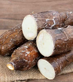 Cassava