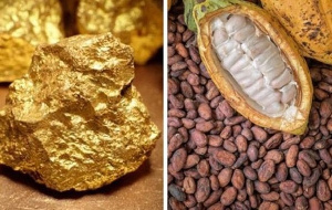 Gold and cocoa