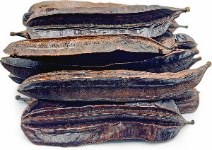 Adian Fruit (prekese)