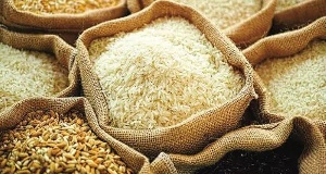 Agric Ministry bans export of rice, maize, and soyabean